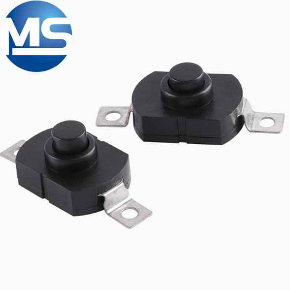 Flashlight Pushbutton Switch Power Oval